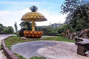 夏日避暑輕旅行！北投大屯山步道踏青去