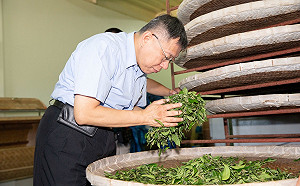 長榮空服員罷工  柯文哲批：不該發生、政府應積極介入