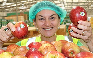 蘋果上的貼紙其實不環保！可堆肥的貼紙來了