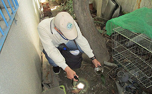 高雄再添一例本土登革熱！三民區群聚累計23人確診