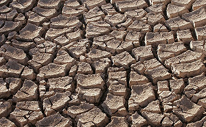 余杰書摘 《顛倒的民國》丁戊奇荒──食人國的食人文化