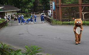 動物園演練動物脫逃「人扮獅子」兩腳狂奔　真正母獅看傻