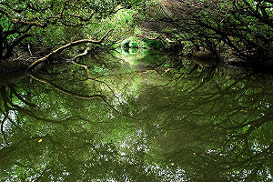 認明合法房間標章 入住3步驟安心玩台南！