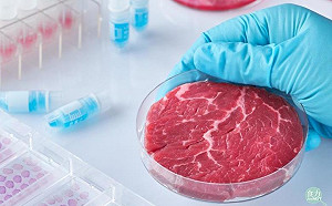 2040年，我們吃的肉有60%不會是屠宰肉！