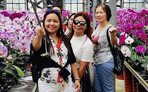 大溪好好玩！東南亞YOUTUBER大推