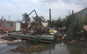 龍捲風襲捲屏東 路樹、鐵皮屋倒一片