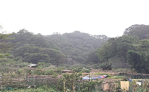 張志豪邀產官學檢視灰磘都計  力推中和生醫園區