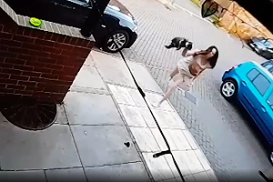 花園被闖火大了！惡鄰上門怒摔貓　「殘忍瞬間」全被拍下