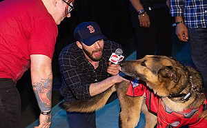 克里斯伊凡出席動漫展　受訪時竟跳下舞台擁抱粉絲狗狗