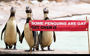 倫敦動物園響應同志驕傲月　同性企鵝伴侶獲滿滿祝福！