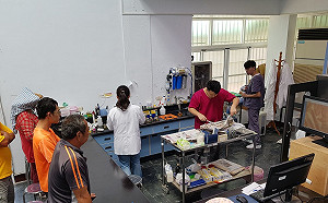 高溫、暴雨雙重影響！嘉義魚蝦死亡案例激增