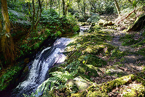 北台灣郊區6清涼步道  瀑布、溪流、森林一網打盡！