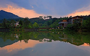 登錄民眾踴躍！客庄遊旅遊券取消異地消費限制