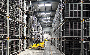 不想被兩隻大象踩死！東南亞因貿易戰受惠？ 學者：曝於長遠風險中