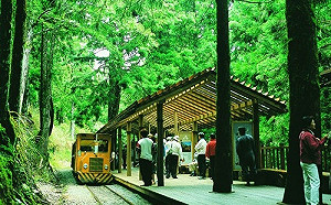 暑假專屬福利！太平山開放時間提早至凌晨4點