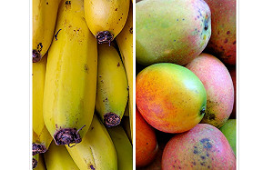 芒果、香蕉長「黑斑」就是劣質？專家曝反轉真相：人人搶