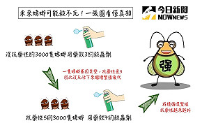 未來的蟑螂殺蟲劑為何殺不死？一張圖看懂超驚人真相