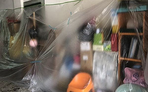 台南本土登革熱發國家級警報  籲民眾巡倒清刷不能停