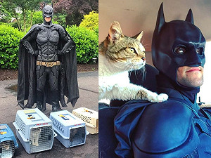 男子扮蝙蝠俠開收容所為浪浪找家：要籠子淨空！