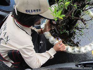 高雄新增1本土登革熱病例  疾管署籲儘速清除積水容器