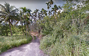 通緝犯陳宏宗嘉義拒捕 槍戰遭警擊斃