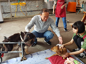 新北推動寵物長照 50家長照機構8月掛牌