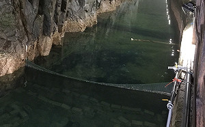 北海坑道養殖小龍蝦 馬祖產業新亮點