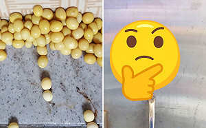 門口「百粒BB彈」狂灑！眾人秒曝卵主人真相：可胖到2kg