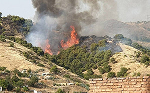 （影）西班牙阿爾汗布拉宮山林竄火 台客驚險目擊