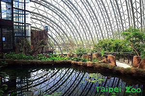 暑假好去處！北市動物園新地標「穿山甲館」