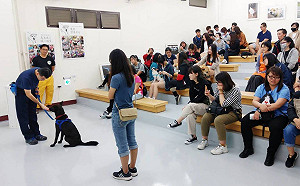 降低人犬衝突  高市動保處籲飼主落實絕育