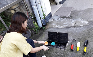 防登革熱別大意！台水曝「這裡」也容易孳生病媒蚊