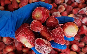 冷凍蔬果怎麼不會「結歸丸」？靠的就是IQF技術！