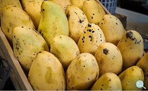 芒果長黑斑變得更甜更搶手？真有其事還是鬼扯