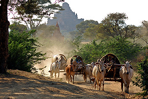 為旅行加點靈感！亞洲地區4大世界遺產新亮點真心推薦