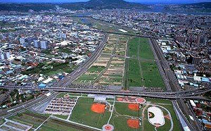 盛夏黃昏之約！五股溼地蘆葦叢看燕群飛昇