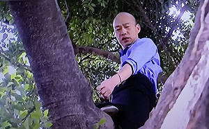 韓國瑜奇招爬樹勘察樹洞積水 護樹聯盟：有點年紀的男人…
