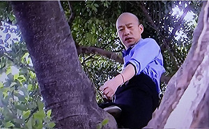 國瑜上樹？錯誤示範！ 攀樹也有標準SOP