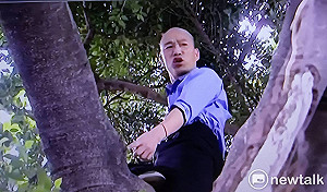 爬樹勘災？陳其邁提醒韓國瑜可採3D偵測棒 別「以身試險」