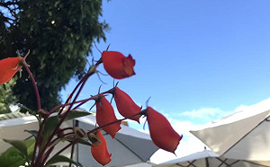 地球大發燒！今年9月陸地溫度創140年歷史新高