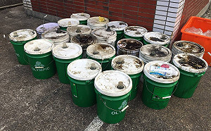 23桶廢機油棄置潮境公園海域 海巡署.基市府聯合鎖定犯嫌