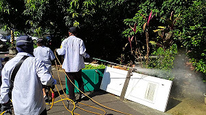 新北爆首例本土屈公病例  土城22歲女性感染