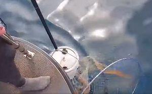 基隆潛水天堂遭23桶廢油汙染！潛水教練吶喊：太可惡