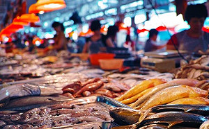 有20%的海鮮標識錯誤！？你一定要注意的「海鮮詐欺」