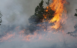 地球怒了！俄羅斯西伯利亞現異常熱浪 北極圈小鎮飆「攝氏38度」