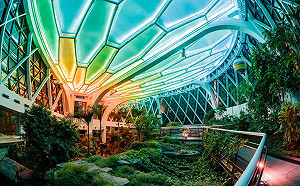 限時4天魔幻點燈！首爾植物園開放夜間參觀