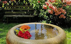 大暑過後的夏日 空翠落庭陰