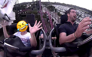 經典表情包！正妹搭雲霄飛車遭鳥「正面撞臉」笑翻11萬人