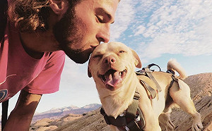 荒漠浪狗自主跳上車　加入男子成為旅行好夥伴！