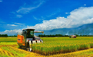 秋冬遊更划算！國旅4方案一張圖告訴你省多少